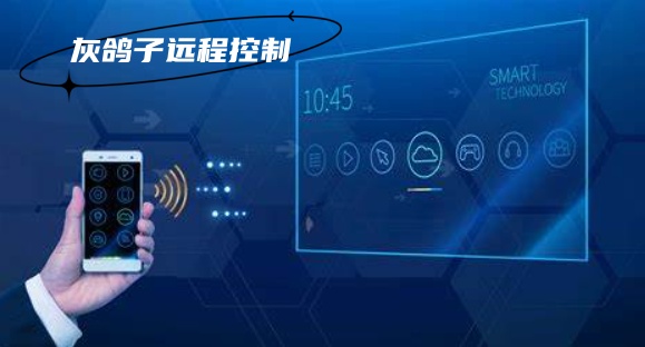 灰鴿子、向日葵、To desk、Team Viewer、Anydesk