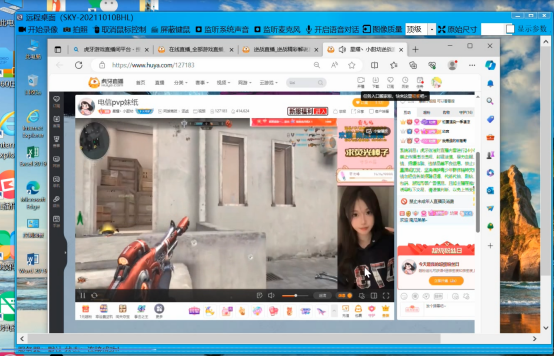 灰鴿子、向日葵、To desk、Team Viewer、Anydesk