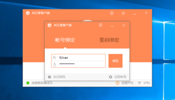 灰鴿子、向日葵、To desk、Team Viewer、Anydesk