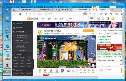 灰鴿子、向日葵、To desk、Team Viewer、Anydesk
