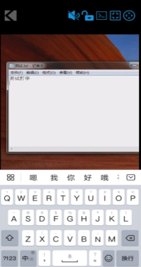 灰鴿子、向日葵、To desk、Team Viewer、Anydesk